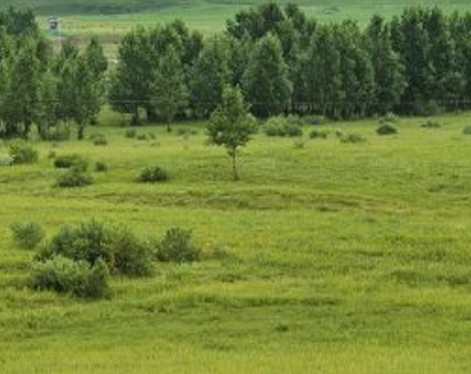 粉象生活成功经历