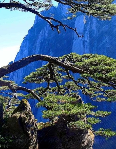 粉象生活怎么分享赚钱