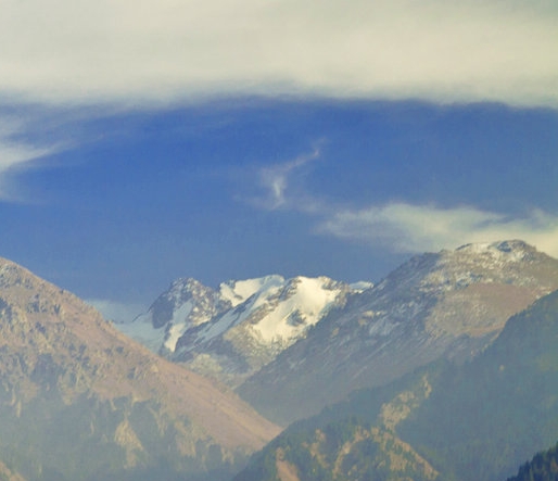 粉象生活的验证码有什么用