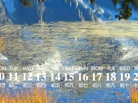 爱生活爱养花的栗子姐