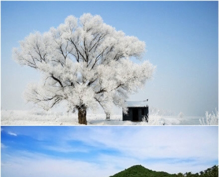 粉象生活模式分析