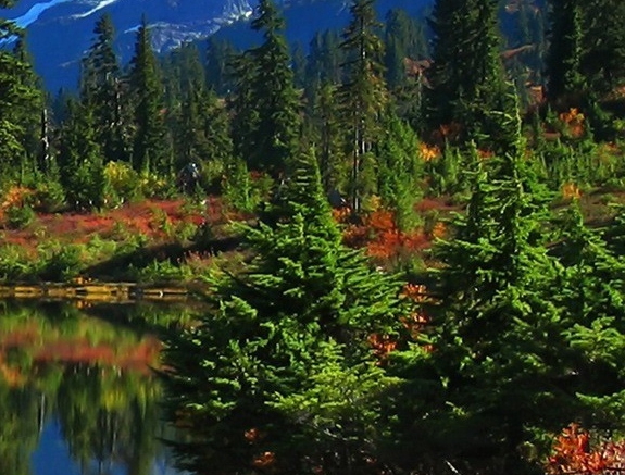 粉象生活的活动怎么找