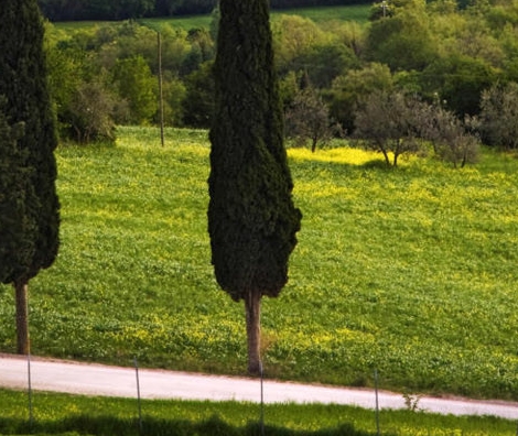 粉象生活怎么样赚钱