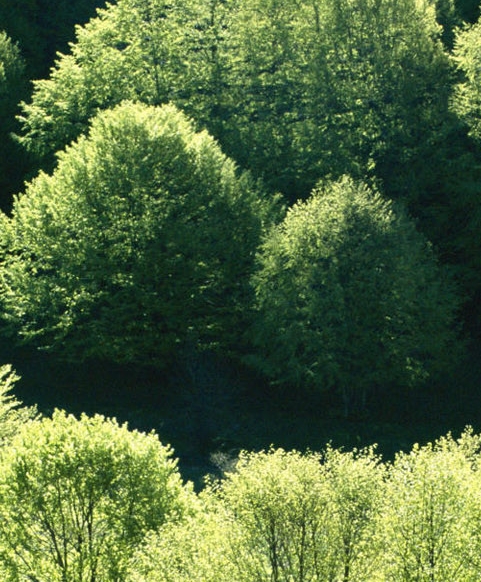 妹生活买东西怎么返回