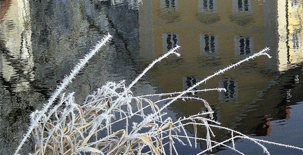 兼职粉象生活视频