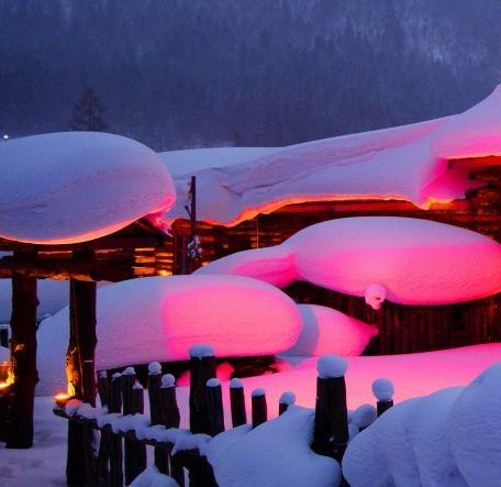 广东加盟粉象生活app