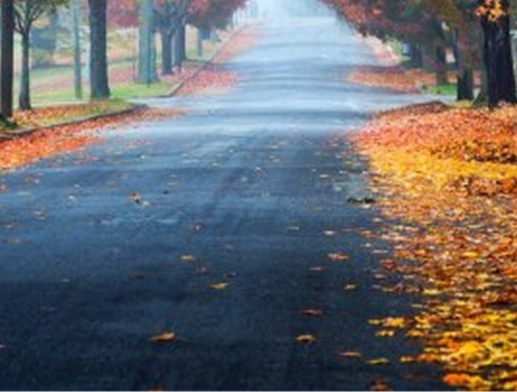 粉象生活是什么?