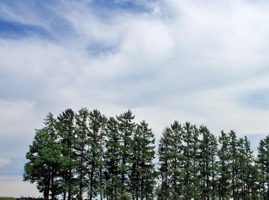 粉象生活邀请码