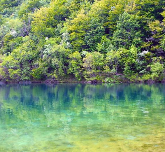 粉象生活拆红包是真的吗