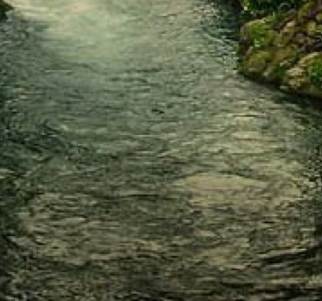 粉象生活怎么赚钱