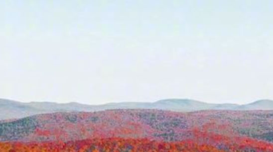 粉象生活可以赚钱吗