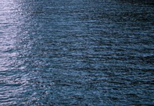 粉象生活怎样升级