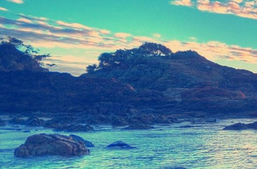 粉象生活怎么赚钱的