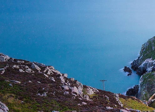 粉象生活的产品