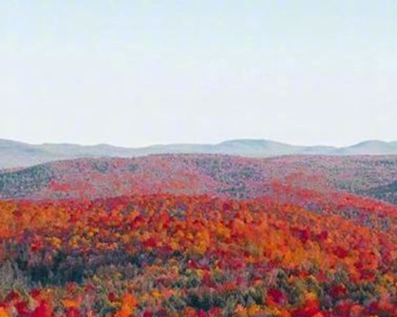 广东粉象生活能拿几代佣金