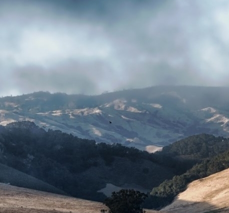 粉象生活赚钱规则