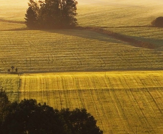 粉象生活app是干嘛的