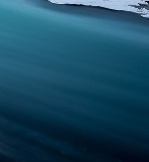 拼多多是不是退出粉象了