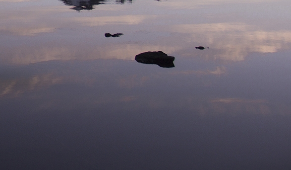 粉象生活是真的吗?真的能赚到钱吗