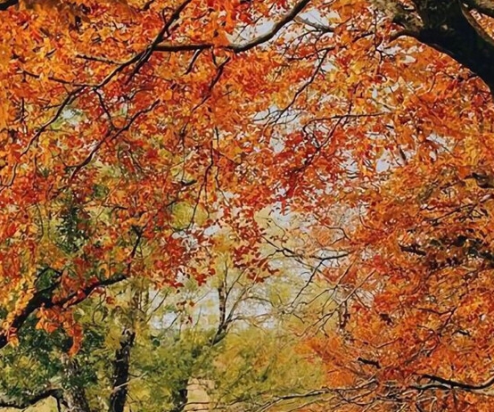 安徽一站式粉象生活官网