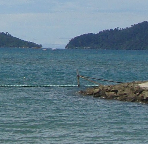 粉象生活佣金返少了 怎么办