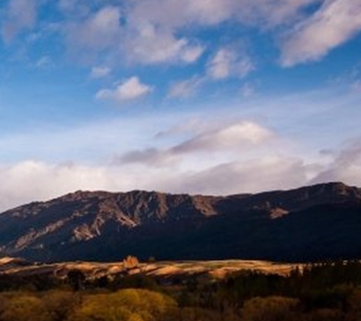 粉象生活邀请码