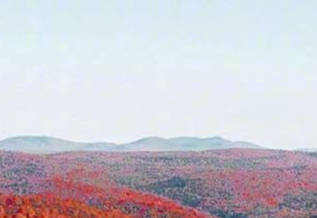 粉象生活赚佣金是真的吗