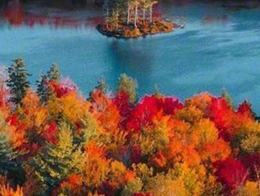 粉象生活自媒体赚钱吗