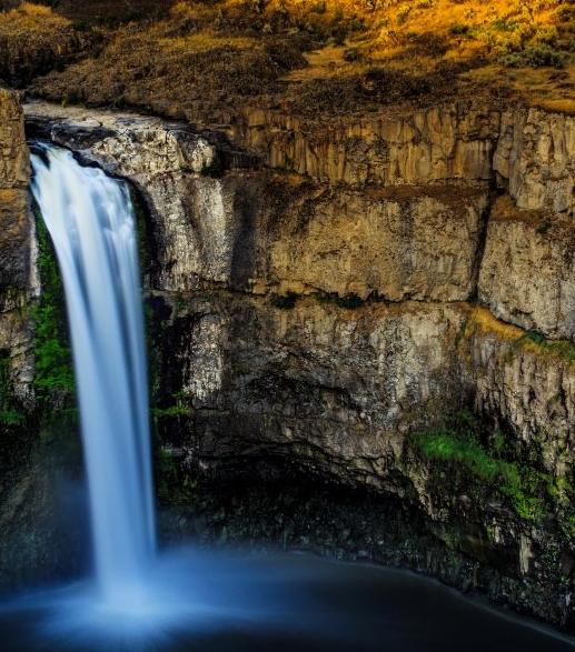 粉象生活加盟费多少钱
