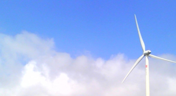 粉象生活哪个领域最好赚钱