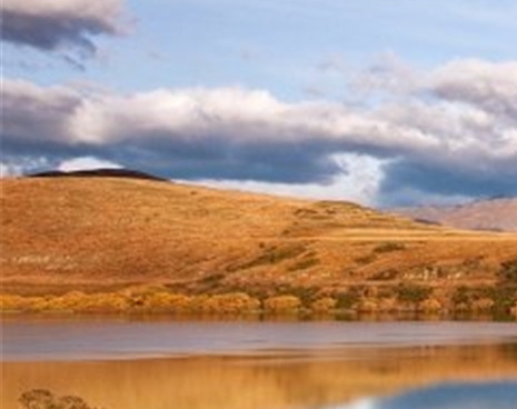 粉象生活退货地址