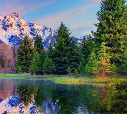 东莞粉象生活加盟代理