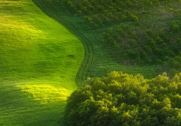 粉象生活邀请码填哪个好