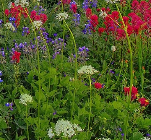 粉象生活是什么?