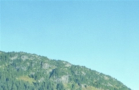 粉象生活多久会自动提现