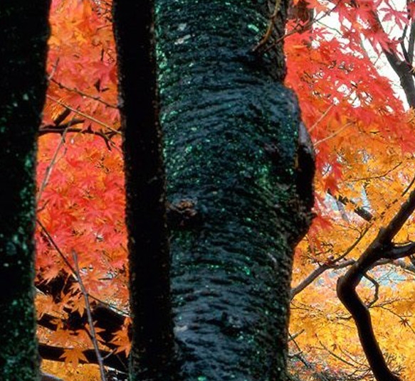 粉象生活需要发朋友圈吗