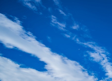 粉象生活佣金为什么那么少