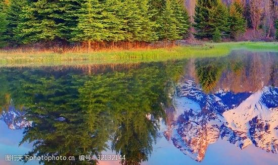 蜜源粉象生活好省