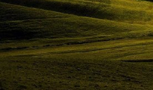 粉象生活邀请码什么意思