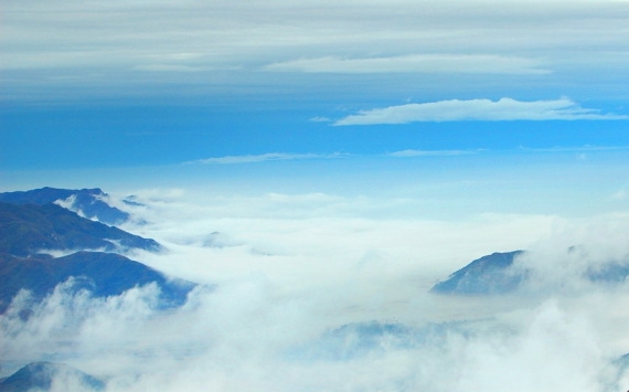粉象生活公司在哪