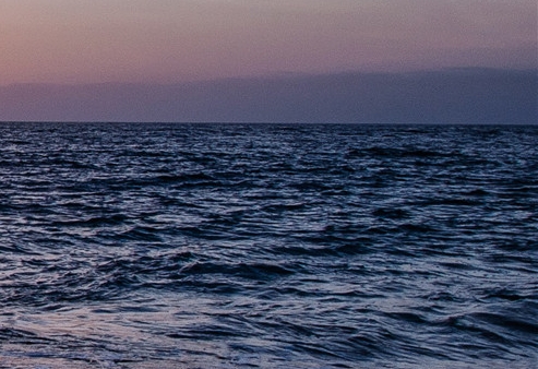 上海粉象生活软件