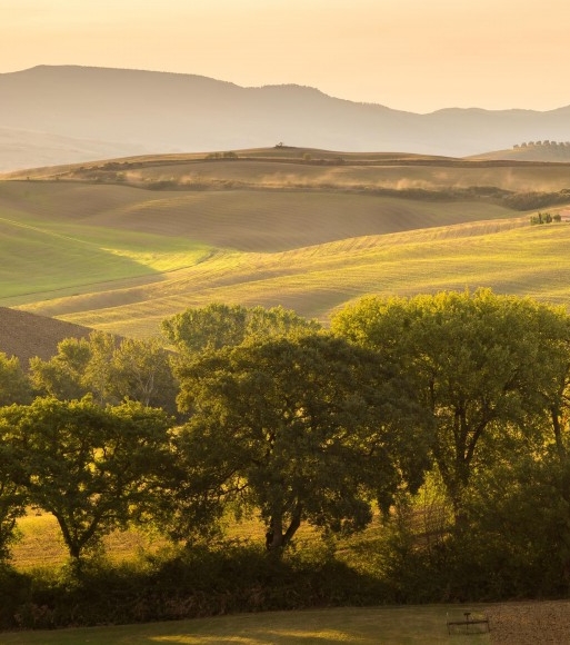 粉象生活怎么推广引流加粉丝