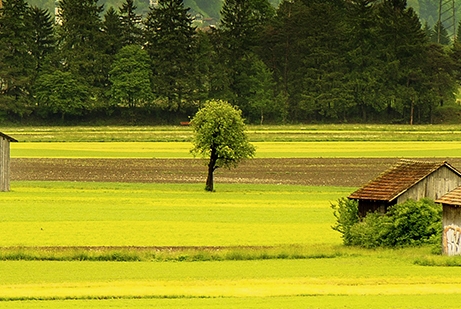 粉象生活现在可以买东西吗