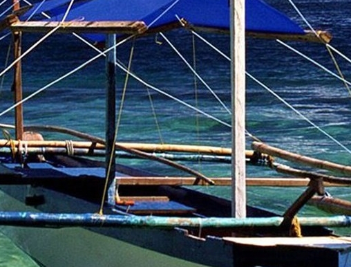 粉象生活是什么