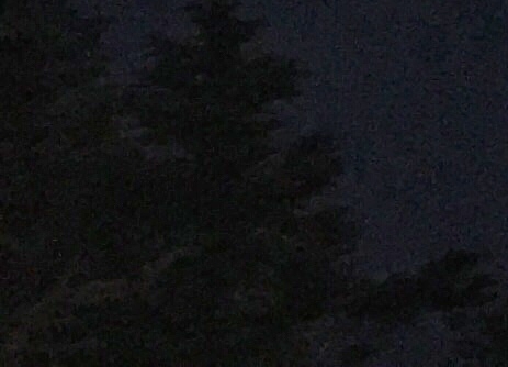 粉象生活免费领