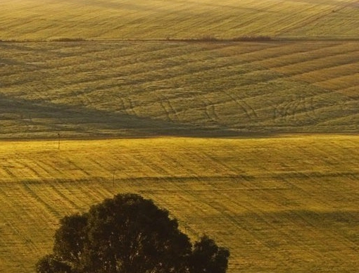 象往的生活南京