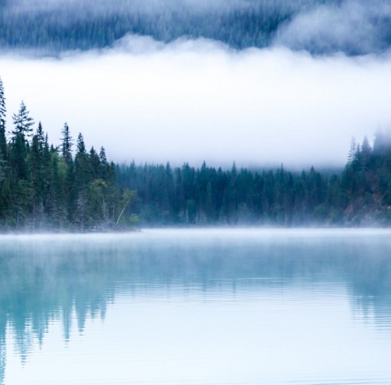 深圳粉象生活赚钱