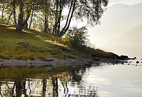 粉象生活一定要填邀请码吗