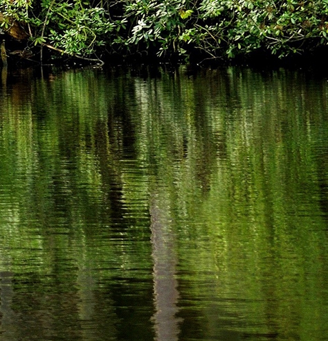 杭州粉象家科技有限公司官网