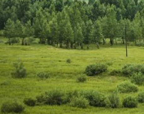 粉象生活邀请码哪里输入填